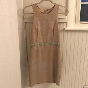 Beautiful Champagne Cocktail Dress; size 4 or 6